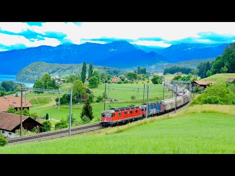 (4K) Swiss Trains | Spiez Ghei ~ BLS Bahn 2022