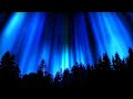 Mystical Forest | 1 Hour Of Relaxing Nighttime Enchanting Nature Sounds | To Help You Sleep At Night