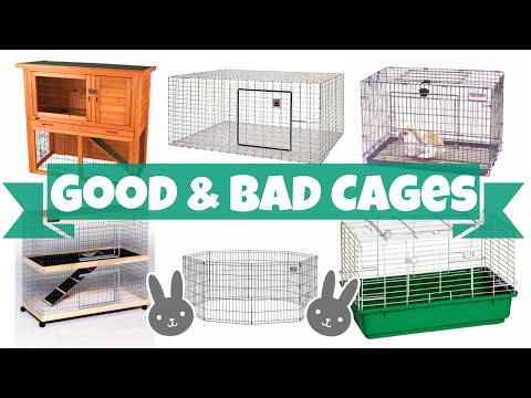 YouTube video about: Should I cover my indoor rabbits cage at night?