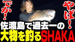 限界を超えたファイトで70cm超えの超大物を釣り上げるSHAKA in 佐渡島