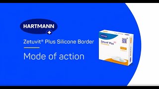 Product video: Zetuvit Plus Silicone Bordered Dressings