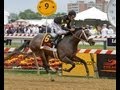 2013 Preakness Stakes - Oxbow - YouTube