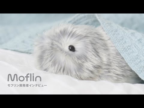 CASIO,AIペットロボット,Moflin (モフリン)｜鍵盤、電子ピアノ通販otto