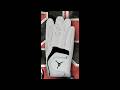 LeBron James 6 23 In LA Michael Jordan Diss