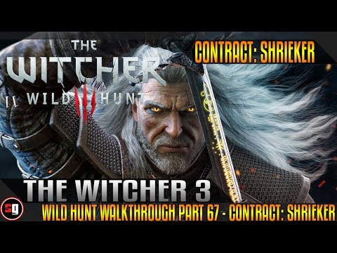 The Witcher 3 Wild Hunt Walkthrough Part 67 - Contract: Shrieker
