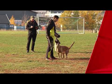 Erik Engeland - Deuce av Staalhjerte - C