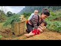 Looking Back To The Days When The Single Girl Harvested Everything To Sell To Raise Her Two Children