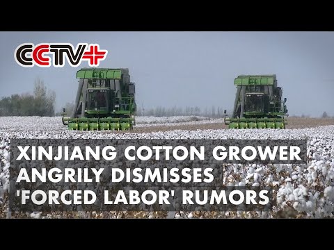 Xinjiang Cotton Grower Angrily Dismisses 'Forced Labor' Rumors From Some Int'l Brands