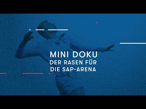 Faustball-WM 2023: Wie der Rasen in die SAP Arena kommt