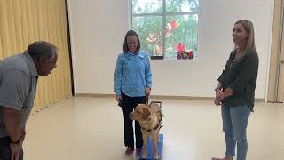 Phase 1 Guide Dog Training with Fromm | Southeastern Guide Dogs