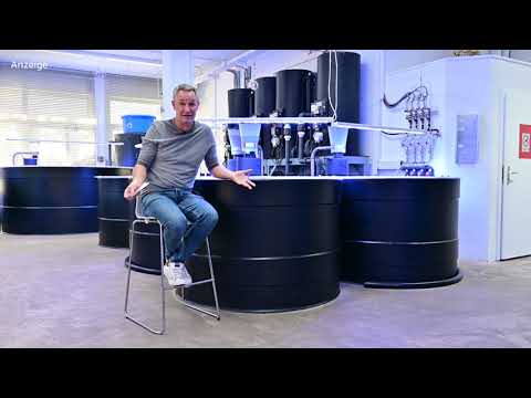 Modern Koi Blog #4835 - Do emergency generators make sense for power backup?