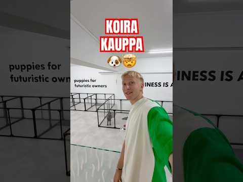 singapore ja KOIRAKAUPAT 🤯🐶