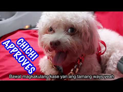 When an architect tries to RAP the building code. PAJAMA PARTY PARODY by PD 1096 Gang.