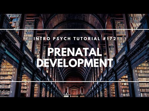 Developmental Psychology Erikson s 8 Ages of Man Intro Psych Tutorial 171