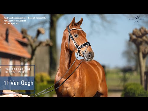 Special Auction Reesink Horses  Lot 11 Van Gogh Wallach v. Valverde - Hotline