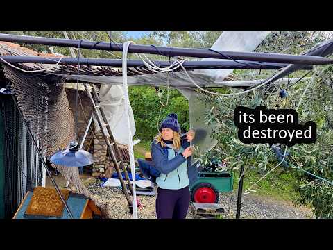 OUR FARM IS DESTROYED - OFF GRID Homestead in PORTUGAL (STORM KRISTIN)