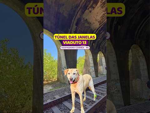 😱 ESCURO demais no #tuneldasjanelas #viaduto13 #vespasianocorrea