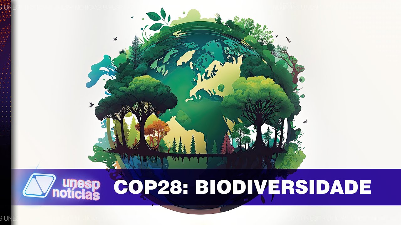 COP28 começa nesta quinta (30) e UN te ajuda a entender temas que estarão em pauta na conferência