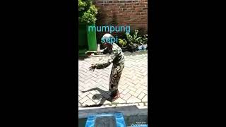 Download lagu Video Lucu Nenek Joget Mumpung Sepih mp3 Download lagu Video Lucu Nenek Joget Mumpung Sepih mp3