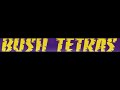 Bush Tetras - Live in New York 1983 [Full Concert]