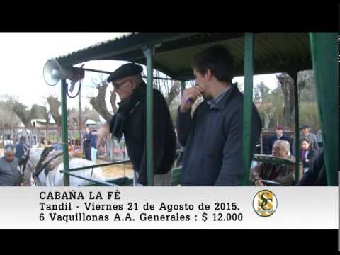21-08-15 Venta de Vaquillonas - Cabaña La Fè de Frias - Tandil.