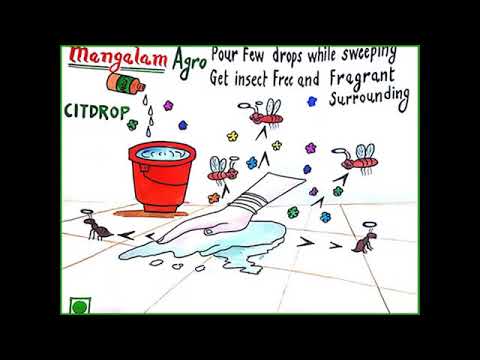 Majmua Superior Fragrance Oil