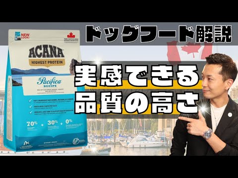 最高のウェットドッグフードは何ですか?