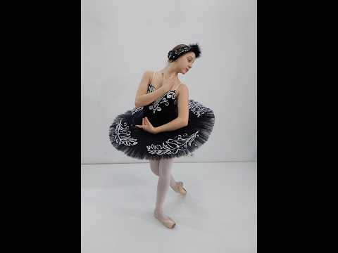 Чёрный лебедь P 0131 - video 2