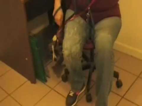 Reaction to other dog Kalinda