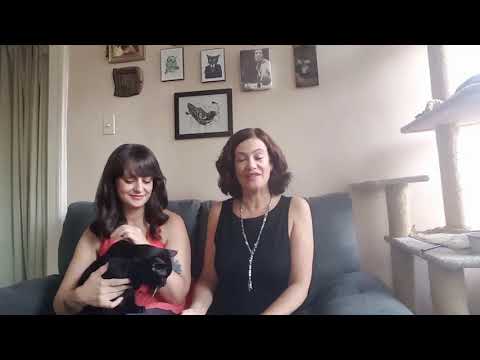 Cat communication session with Sue Pike, The Animal Talker®