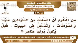 [77 -3022] هل القطة وبولها طاهر؟ - الشيخ صالح الفوزان image