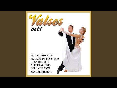 Vals De El Lago De Los Cisnes