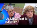 TERRAS van buurvrouw COMPLEET VERPEST door SERRE! | Mr. Frank Visser doet uitspraak