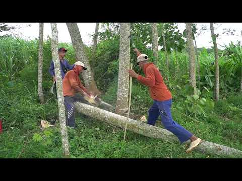 Satisfying Logging Activiity