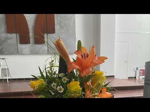 Cantate Deo Canticum Novum