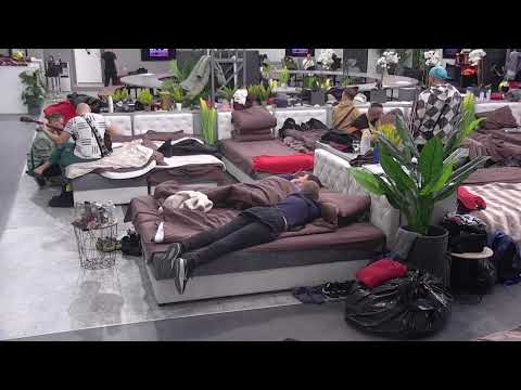 STEFAN I ALESIJA FLERTUJU - 01.12.2022. - INSTA TV