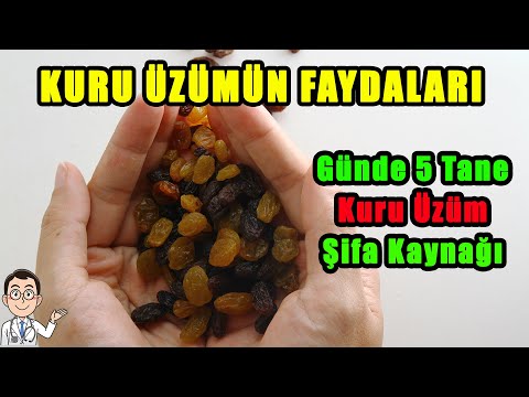 , title : 'Kuru Üzüm Faydaları / Kuru Üzüm Zararları ve Yan Etkileri'