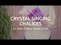 Meinl Sonic Energy CSC8FPFOL Crystal Singing Chalice 8" thumbnail 5