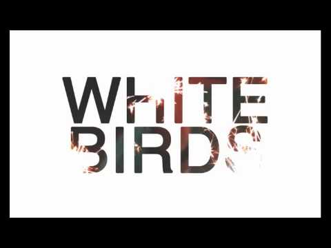 White Birds - Hondora