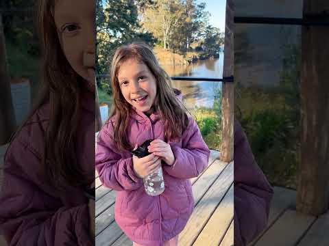 Canteras de Vialidad-Florida  #canterasdevialidad