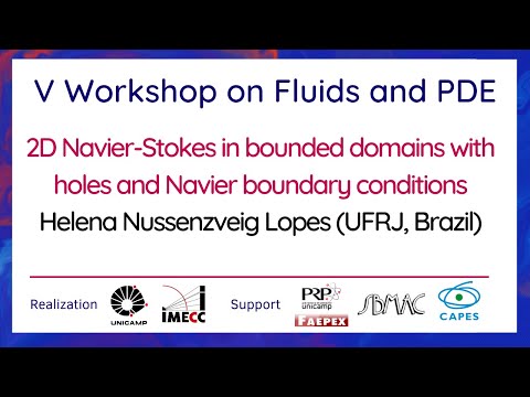 V Workshop on Fluids and PDE - September 20th, 2021 - Helena Nussenzveig Lopes