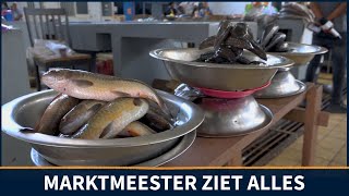 Visverkopers Centrale Markt: Iedereen trekt weg, verkoop slecht I SUN WEB TV I