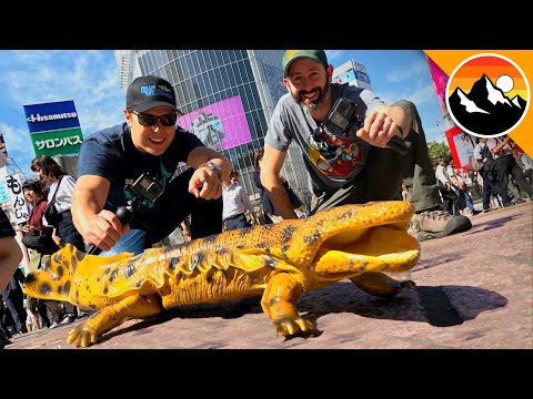 Giant Salamander Scavenger Hunt.. In TOKYO!