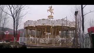 Platinum Carousel