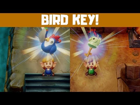 How to Get the Bird Key in Link's Awakening Switch!