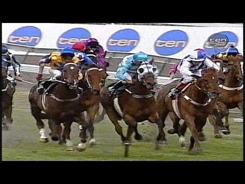 1999 VRC L K S Mackinnon Stakes _ Tie The Knot Performance