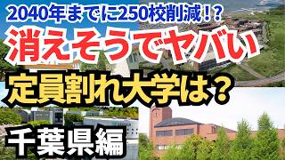 私立大学の危機！消えそうでヤバい千葉県の定員割れ大学12校ってどこ？  2040年までに250校削減！？【空から見る】