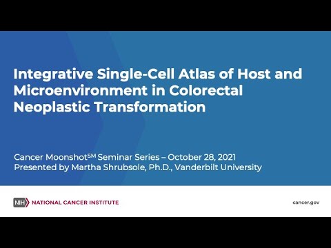 Integrative Single-Cell Atlas of Host and Microenvironment in Colorectal Neoplastic Transformation