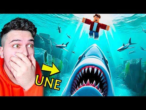 Une jam PESHKAQEN dhe i HA FANSAT