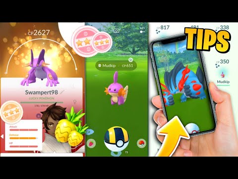 Prepare for a mega swampert | Shiny mudkip classic community day tips & tricks| hydro canon swampert